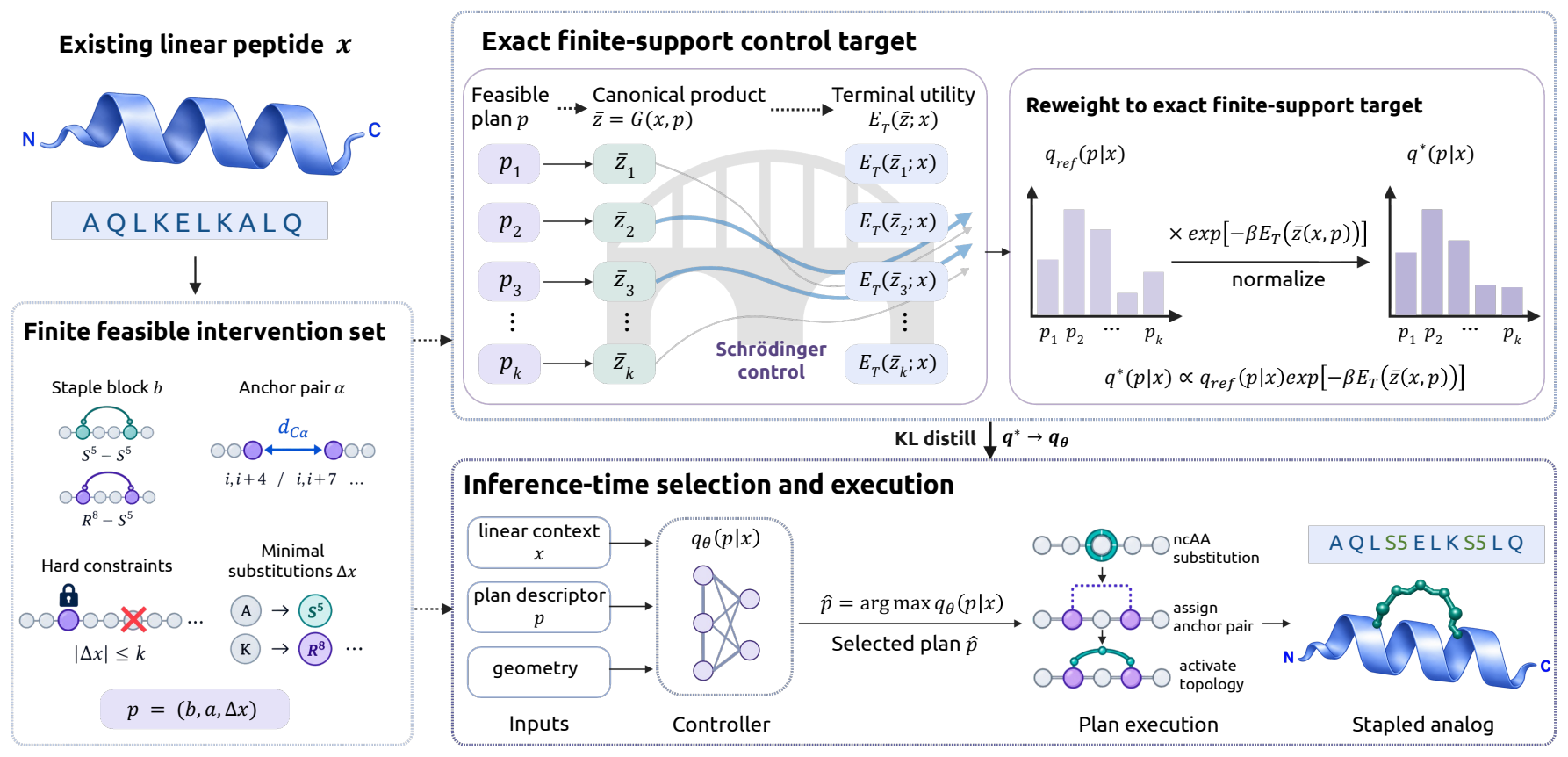 StapleBridge framework: feasible stapling plans, exact finite-support control target, and plan execution