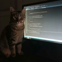Arush Codes's profile picture